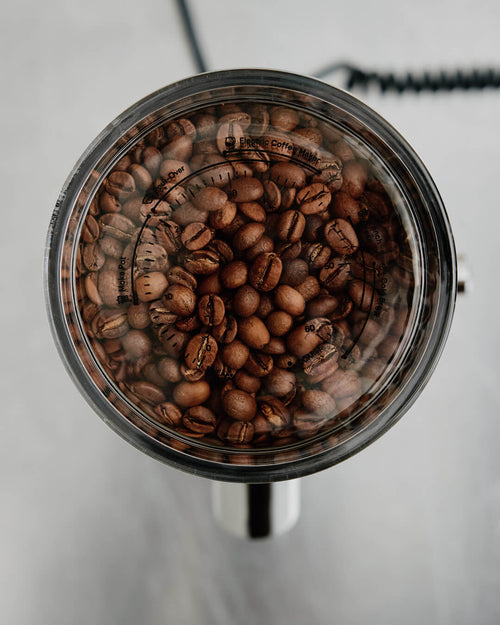 Top view of whole coffee beans in the Aarke Coffee Grinder stainless steel hopper, featuring a grind setting guide for different brewing methods.